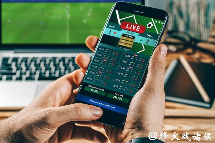 深度分析：世界杯投注平台的安全性及隐患