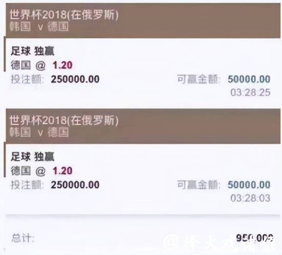 深度分析：世界杯投注平台的安全性及隐患